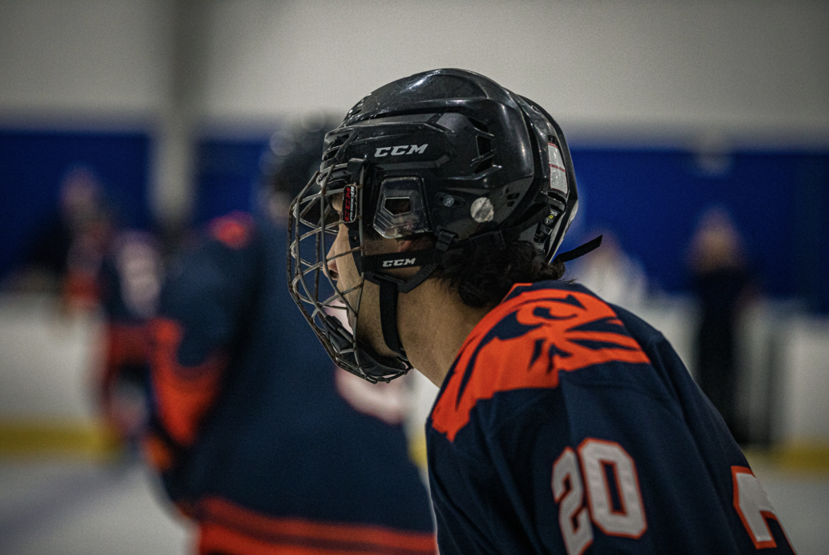 Roadrunners on ice